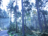 Tn IMG 1417